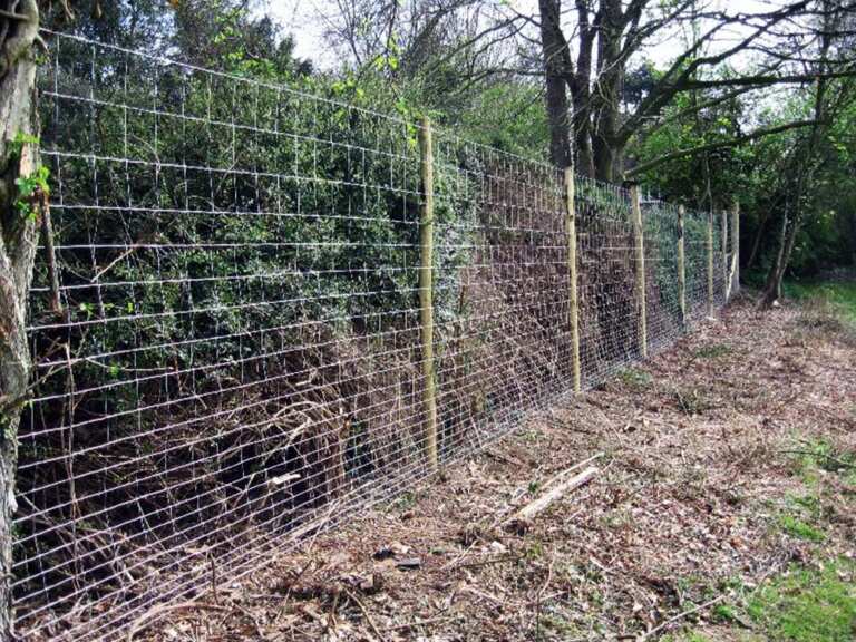 Chain-link fence protecting yard in Duncan, BC